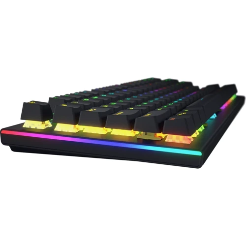Клавиатура HATOR Gravity X TKL Aurum Orange Linear Black (HTK550UA): Тип клавиатуры компактная