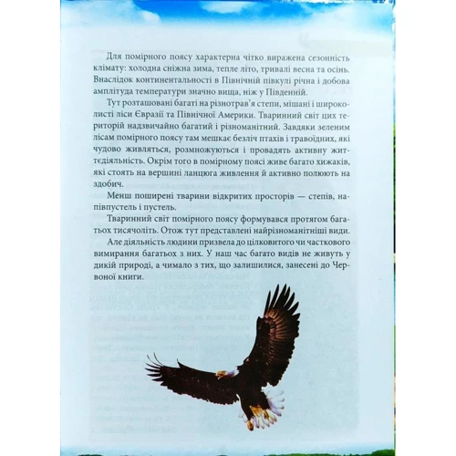 Тваринний світ помірного поясу. Ілюстрована енциклопедія для дітей: Обложка Твердая