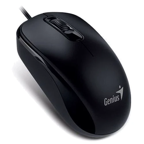 Мишка Genius DX-110 USB Black (31010116100)