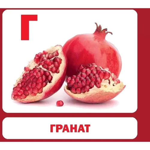 Алфавіт. 33 картки: Обкладинка Мягкая
