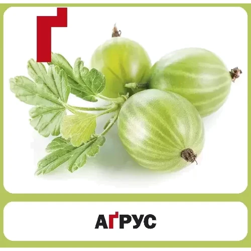 Алфавіт. 33 картки: Виробник Сова