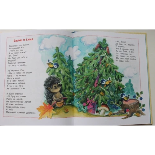 Юрій Кушак. Шукає клоуна щеня: Обкладинка Тверда
