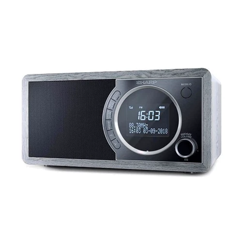 Акустика Sharp DR-450 Gray: Звуковая система 1.0