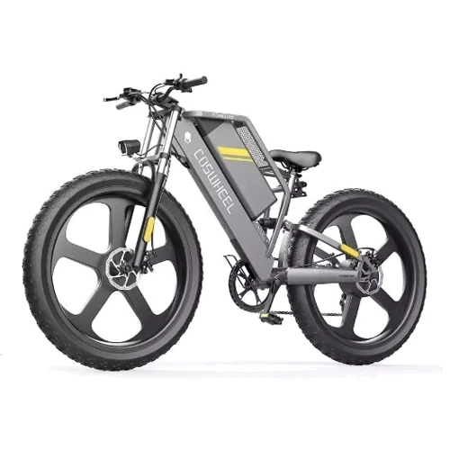 Електровелосипед Coswheel T26 (750 Вт, 48 В, 25 А/год), колеса 26", сірий