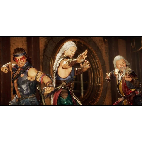 Mortal Kombat 11 Ultimate (PS4): Жанр файтинг