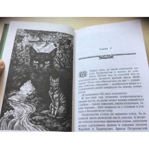 Эрин Хантер: Коты-воители. Нерассказанные истории. История Остролистой: Количество страниц 352