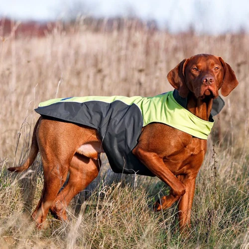 Попона Flamingo Touchdog Coat для собак XXXXL салатова: Тип Попона