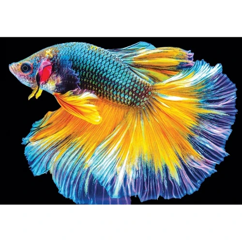 Пазли тришарові Interdruk Барвиста природа Рибка 250 шт, 33х48 см (342041)