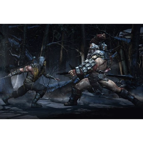 Mortal Kombat X (PS4) фото 8