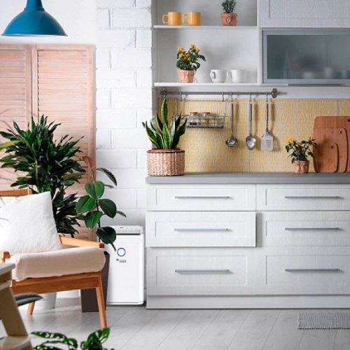 Осушитель воздуха Mycond Roomer Smart 25 фото 7