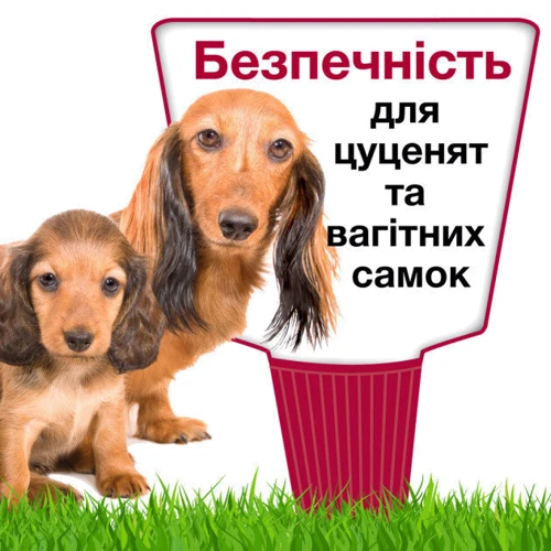 Капли Bayer/Elanco Advantix для собак 10-25 кг 4 пипетки/1 уп. (4007221047247) фото 7