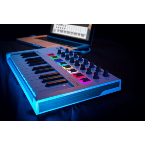 MIDI-клавиатура Arturia MiniLab MKII (White): Разъёмы и интерфейсы Педаль сустейна, USB, MIDI in/out