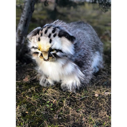 Мягкая игрушка Hansa Кот Манул, который стоит, 30 см: Тип дикие животные