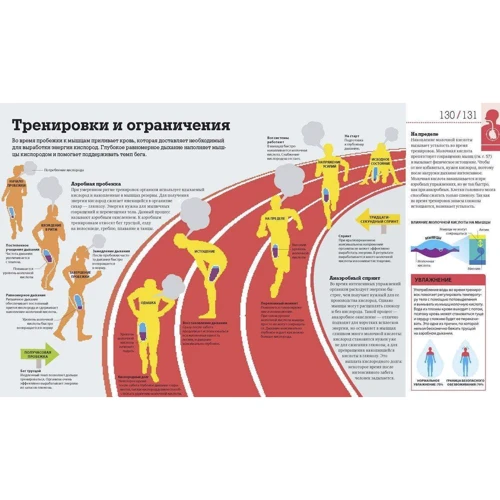 Как работает тело: Количество страниц 256