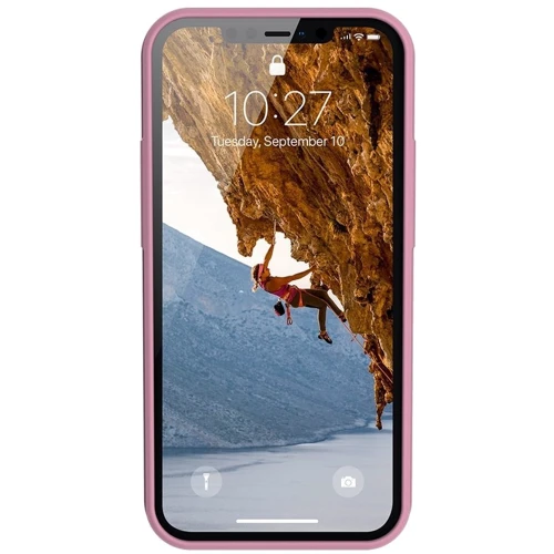 Чехол для iPhone Urban Armor Gear UAG [U] Anchfor Dusty Rose (11236M314848) for iPhone 12 Pro Max: Цвет розовый