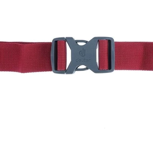 Сумка Deuter Pulse 2 колір 5000 cranberry (3935119 5000): Тип сумка на пояс