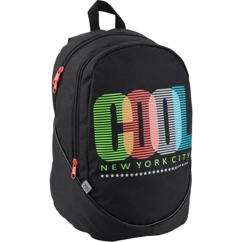 Рюкзак подростковый GoPack GO19-120L-4: Возрастная группа от 13 до 18 лет