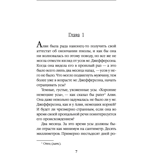 Пластмассовая магия: Количество страниц 384