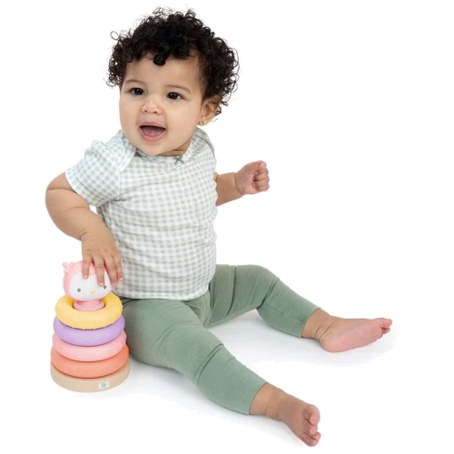 Игрушка-пирамидка Ingenuity Cutie Stacks - Nally (074451168800): Возраст Менее 1 года