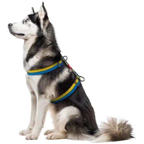 Шлей для собак анатомічний WAUDOG Nylon H-подібний з QR-паспортом, малюнок "Colors of freedom" XL, Ш 35 мм, А 55-95 см, В 70-110 (323-4020) фото 2