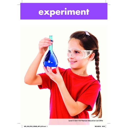 Big Science Level 3 Picture Cards: Производитель Pearson Education
