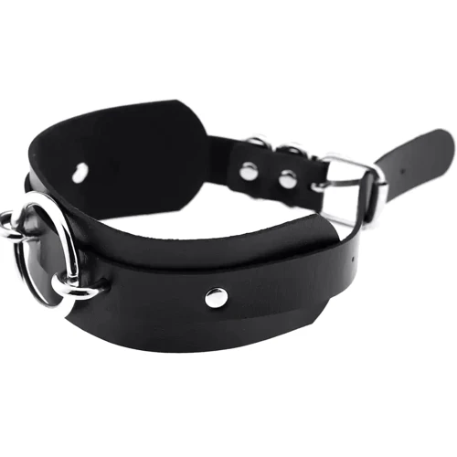 Чокер-ошейник SKN-AS18 RED Silver