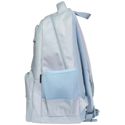 Рюкзак SAFARI 21-195L-1 2 отд., 45x30x21см: Спинка Ортопедическая (анатомическая)