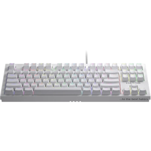 Клавиатура HATOR Skyfall TKL PRO White (HTK-656): Интерфейс подключения USB