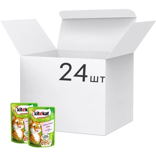 Влажный корм Kitekat для котов с лососем в соусе 24х100 г (5900951256325): Тип паучи