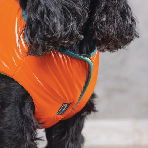Жилет Pet Fashion SPRING оранжевый M (4823082420483): Обхват груди 41-48 см