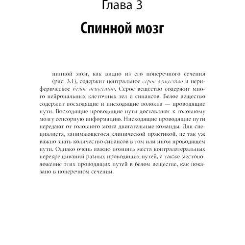 Стивен Голдберг: Клиническая нейроанатомия. Проще не бывает (5-е издание): Автор Стивен Голдберг
