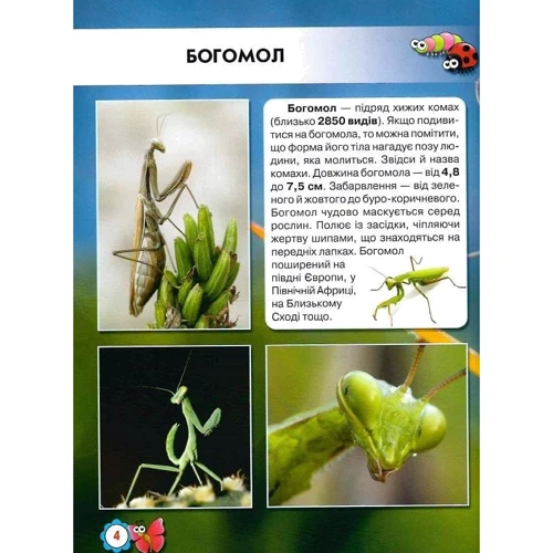 Світ довкола нас. Насекомі. Фотоенциклопедія: Кількість сторінок 48