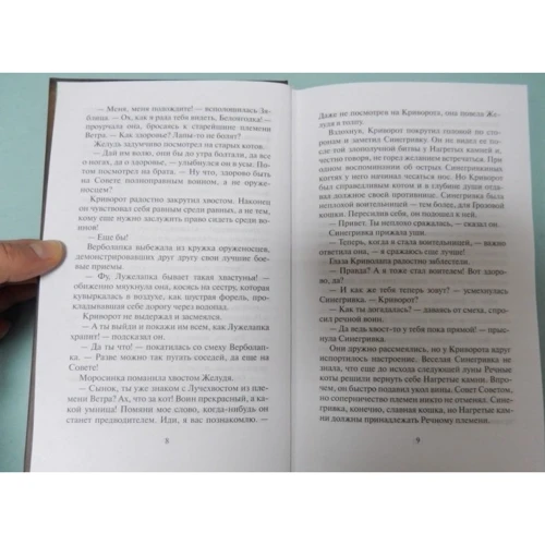 Эрин Хантер: Коты-воители. Обещание Метеора. Книга 2. Прозрение: ISBN 978-5-00111-011-8