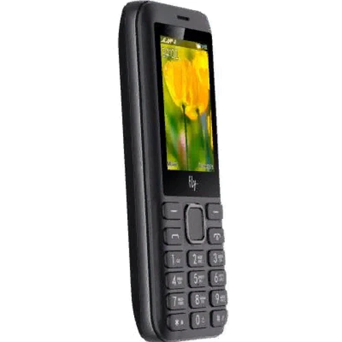Мобильный телефон Fly FF249 Dual Sim Black-Grey (UA UCRF): Оперативная память 32 МБ
