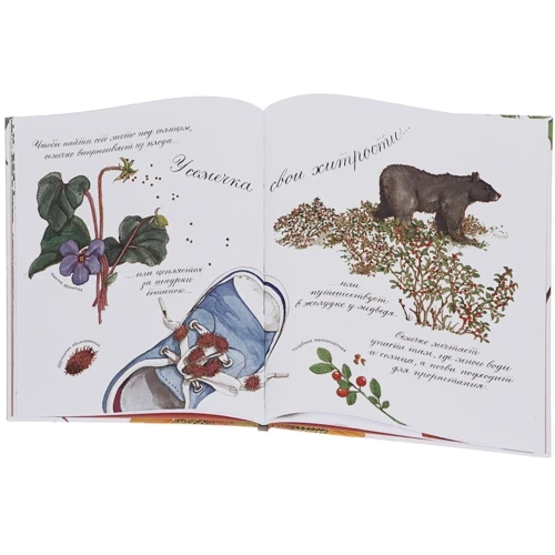 Что снится семечку?: ISBN 978-5-00057-430-0