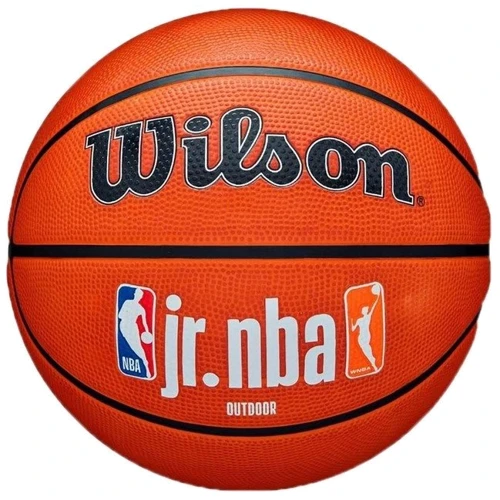 Мяч для игры Wilson JR NBA FAM LOGO AUTH OUTDOOR BSKT баскетбольный size 5 (WZ3011801XB5)
