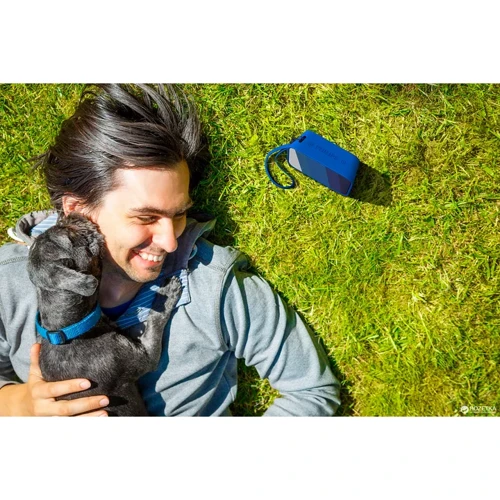 Акустика Philips BT110A/00 Blue (BT110A): Совместимость Android, iOS, Windows