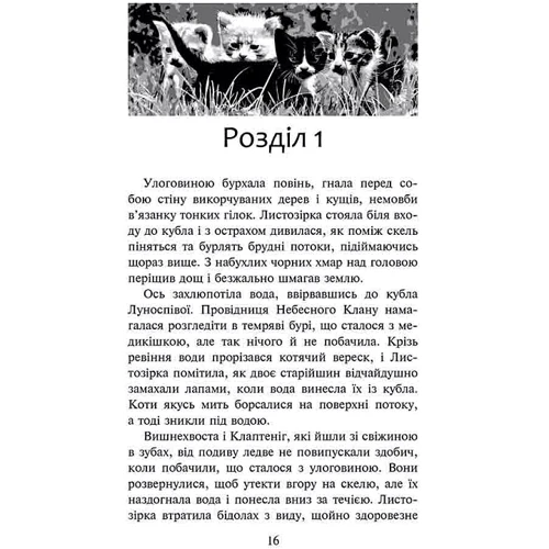 Ерін Гантер: Коти-вояки. Частка Небесного Клану (спеціальне видання): Виробник АССА
