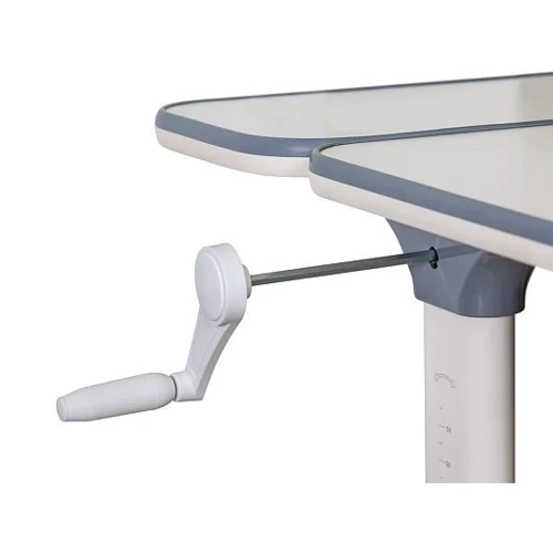 Детский стол Ergokids TH-320 Green (арт. TH-320 W/Z): Возраст ребенка от 4-х лет