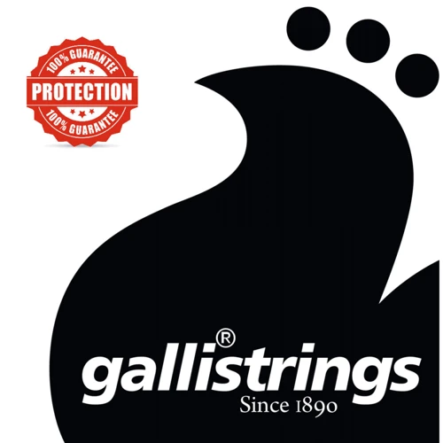 Струна для гитар Струны для акустической гитары Gallistrings LS1027-12 LIGHT: Тип Комплект струн