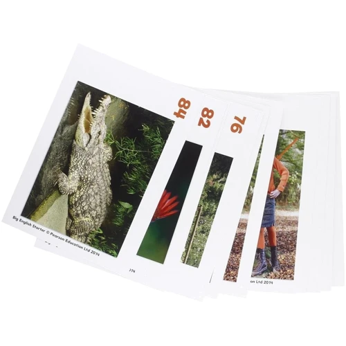 Big English Starter Flashcards: Виробник Pearson Education