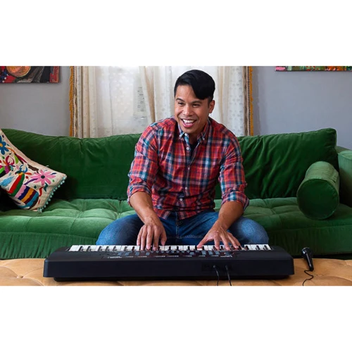 Синтезатор ALESIS Harmony 54