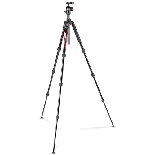 Штатив Manfrotto MKBFRTA4RD-BH: Тип штатива напольный