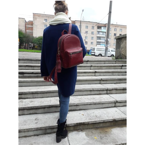 Женский рюкзак Sambag Brix LF бордовый (11515005): Тип Рюкзаки