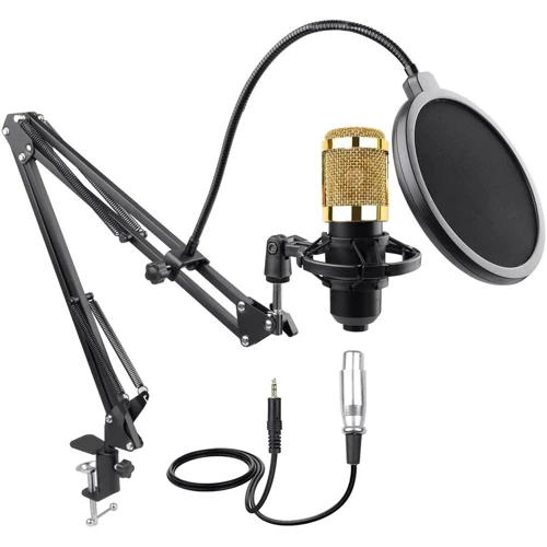Комплект для записи HL AUDIO BM-800: Тип звука Стерео
