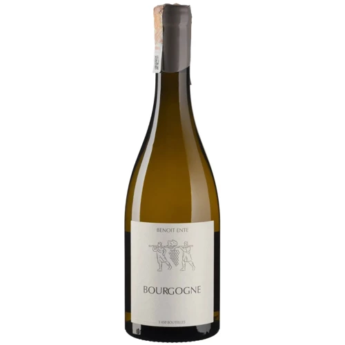 Вино Benoit Ente Bourgogne Chardonnay біле сухе 0.75л (BWR8540)