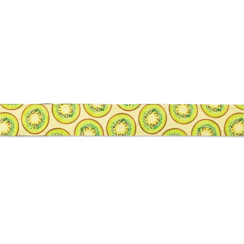 Шлейка для собак Max & Molly H-Harness - Kiwi S (4894512023536): Производитель Max & Molly
