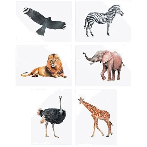 Временные татуировки TATTon.me Animal Set (TSAnimal): Вид Тату, наклейки, стикеры