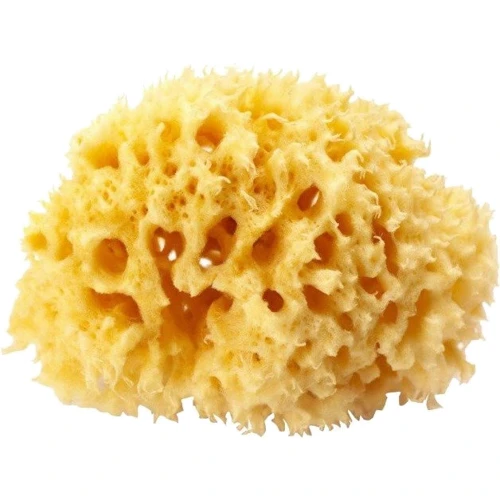 Натуральная морская губка Ok Baby Silk Fine sea sponge 16 см (38481600)