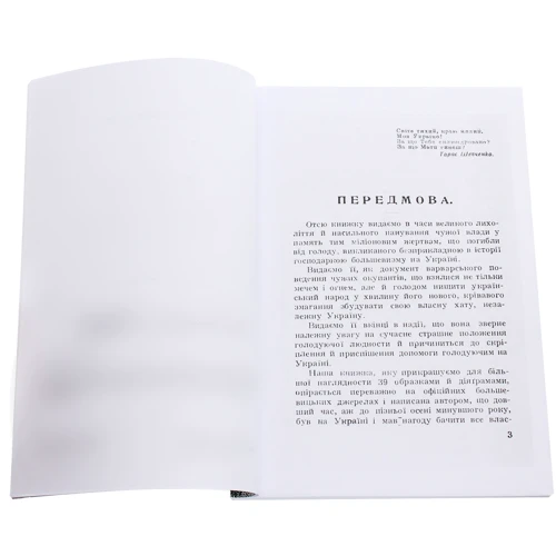 Іван Герасимович: Голод на Україні: Кількість сторінок 298